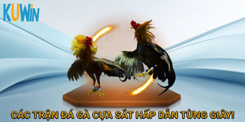 Các trận đấu luôn mang đến sự hấp dẫn từng giây!
