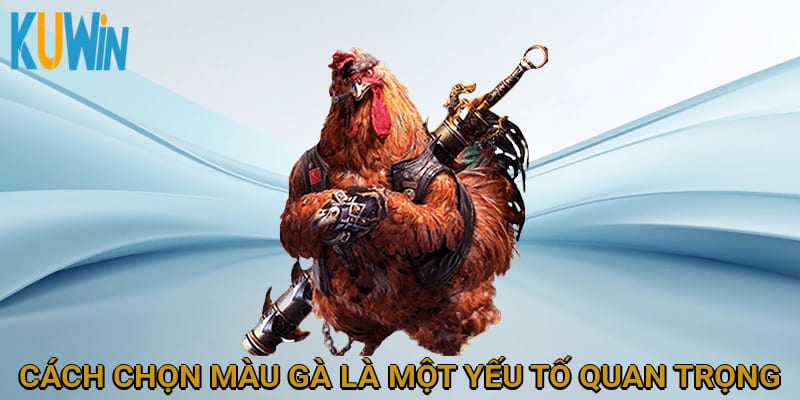 Cách chọn màu gà chiến là một yếu tố quan trọng