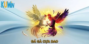 đá gà cựa dao