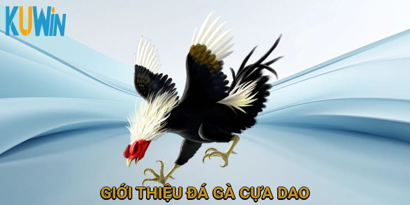 Giới thiệu đá gà cựa dao