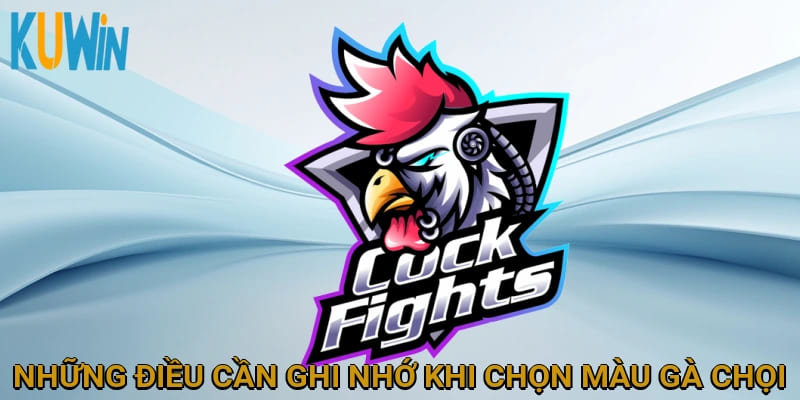 Những điều cần ghi nhớ khi chọn màu gà chọi