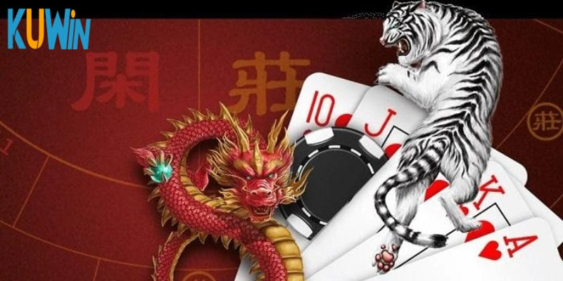 Tổng quan về cách chơi rồng hổ